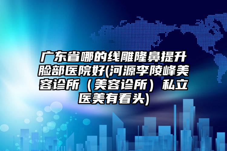 广东省哪的线雕隆鼻提升脸部医院好(河源李陵峰美容诊所（美容诊所）私立医美有看头)