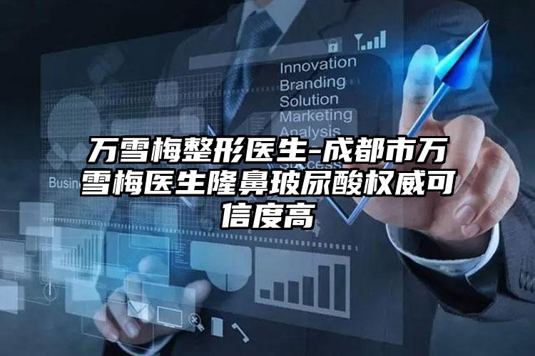 万雪梅整形医生-成都市万雪梅医生隆鼻玻尿酸权威可信度高