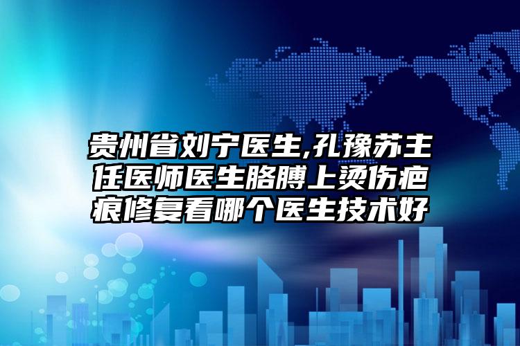贵州省刘宁医生,孔豫苏主任医师医生胳膊上烫伤疤痕修复看哪个医生技术好
