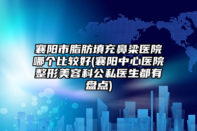 襄阳市脂肪填充鼻梁医院哪个比较好(襄阳中心医院整形美容科公私医生都有盘点)