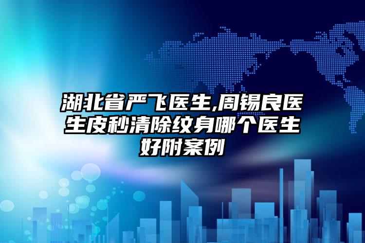 湖北省严飞医生,周锡良医生皮秒清除纹身哪个医生好附案例