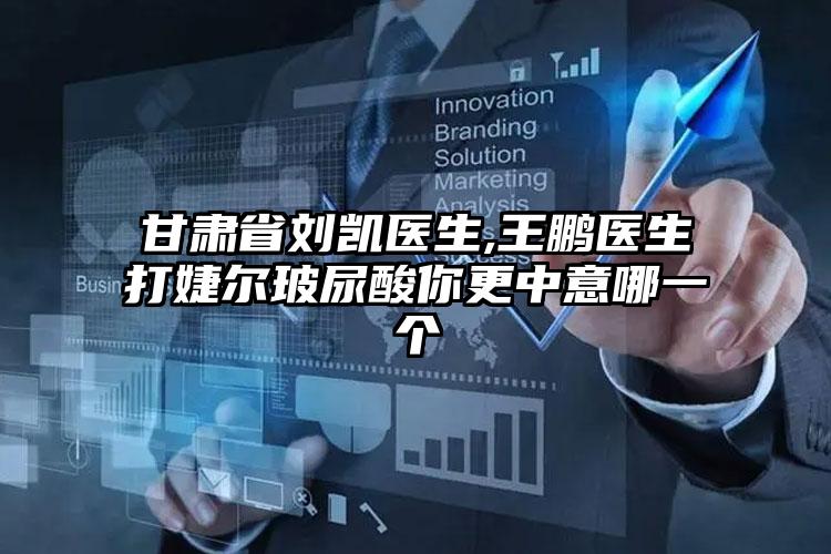 甘肃省刘凯医生,王鹏医生打婕尔玻尿酸你更中意哪一个