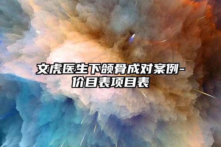 文虎医生下颌骨成对案例-价目表项目表
