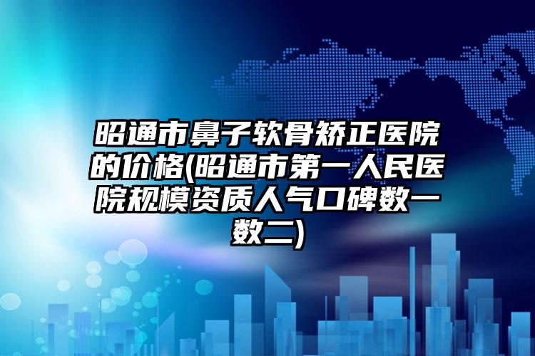 昭通市鼻子软骨矫正医院的价格(昭通市第一人民医院规模资质人气口碑数一数二)